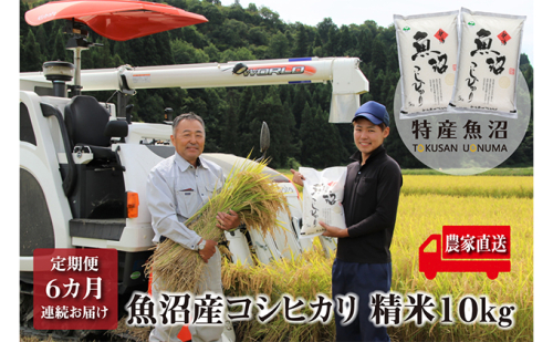 農家直送！ 魚沼産 コシヒカリ 精米 10kg （ 5kg × 2袋 ） 6ヶ月 連続お届け（ 米 定期便 6か月 こしひかり お米 こめ コメ 魚沼産コシヒカリ 魚沼産こしひかり おこめ 白米 魚沼 新潟 定期 お楽しみ 6回 ） 2727790 - 新潟県魚沼市