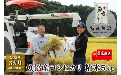 農家直送！ 魚沼産 コシヒカリ 精米 5kg 3ヶ月 連続お届け（ 米 定期便 こしひかり お米 こめ コメ 魚沼産コシヒカリ 魚沼 新潟 魚沼産こしひかり おこめ 白米 定期 お楽しみ 3回 ） 新潟県  2727791 - 新潟県魚沼市