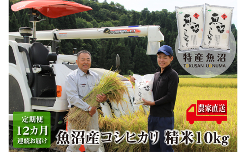 農家直送！ 魚沼産 コシヒカリ 精米 10kg （ 5kg × 2袋 ） 12ヶ月 連続お届け （ 米 定期便 こしひかり お米 こめ コメ 魚沼産コシヒカリ 魚沼 新潟 魚沼産こしひかり おこめ 白米 定期 お楽しみ 12回 ） 2727792 - 新潟県魚沼市