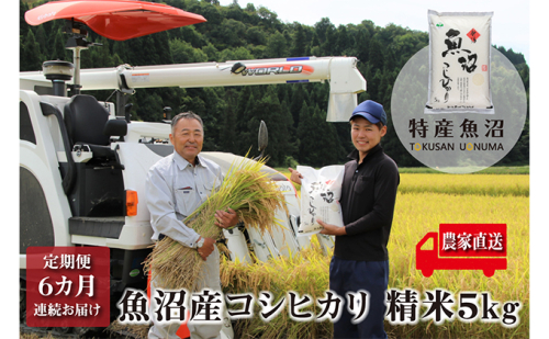 農家直送！ 魚沼産 コシヒカリ 精米 5kg 6ヶ月 連続お届け（ 米 定期便 6か月 こしひかり お米 こめ コメ 魚沼産コシヒカリ 魚沼産こしひかり おこめ 白米 魚沼 新潟 定期 お楽しみ 6回 ） 新潟県  2727793 - 新潟県魚沼市
