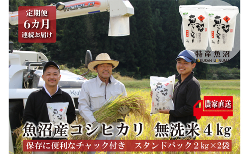 農家直送！ 魚沼産 コシヒカリ 無洗米 4kg (スタンドパック 2kg × 2個 ) 6ヶ月 連続お届け（ 米 定期便 こしひかり お米 こめ コメ 魚沼産コシヒカリ 魚沼 新潟 おこめ 白米 精米 新潟 定期 お楽しみ 6回 ） 2727797 - 新潟県魚沼市