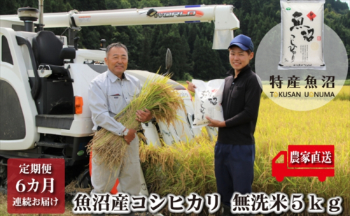 農家直送！ 魚沼産 コシヒカリ 無洗米 5kg 6か月 連続お届け （ 米 定期便 6ヶ月 お米 魚沼産コシヒカリ 魚沼 新潟 魚沼産こしひかり 白米 精米 旨み ビタミンB1 定期 お楽しみ 6回 ） 2727802 - 新潟県魚沼市