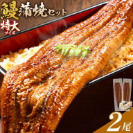 ＼特大サイズ／ 鹿児島県産 鰻蒲焼真空セット！2尾  タレ・山椒付！ 株式会社薩摩川内鰻 《30日以内に出荷予定(土日祝除く)》  鹿児島県 さつま町 送料無料 ウナギ 丑の日 うなぎ 刻み グルメ 特大 鰻 蒲焼 真空