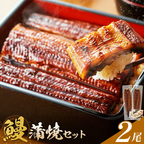 鰻 うなぎ 蒲焼き 2尾 (1尾約140g) タレ 山椒 付き 株式会社薩摩川内鰻《30日以内に出荷予定(土日祝除く)》鹿児島県 さつま町 送料無料 ウナギ 蒲焼 かば焼き 丑の日 うなぎ お取り寄せ グルメ 2727928 - 鹿児島県さつま町