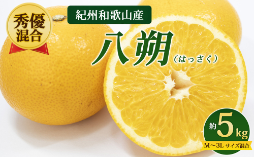 【先行予約】【秀優混合】紀州和歌山産 八朔（はっさく）約5kg（箱込み）M～3L サイズ混合 2727929 - 和歌山県美浜町