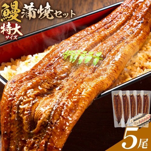 ＼特大サイズ／ 鹿児島県産 鰻蒲焼真空セット！5尾  タレ・山椒付！ 株式会社薩摩川内鰻 《30日以内に出荷予定(土日祝除く)》  鹿児島県 さつま町 送料無料 ウナギ 丑の日 うなぎ 刻み グルメ 特大 鰻 蒲焼 真空 2727930 - 鹿児島県さつま町