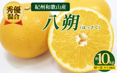 【先行予約】【秀優混合】紀州和歌山産 八朔（はっさく）約10kg（箱込み）M～3L サイズ混合 2728090 - 和歌山県美浜町