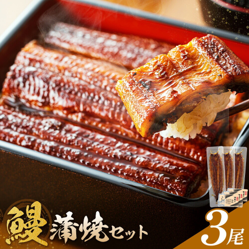 鰻 うなぎ 蒲焼き 3尾 (1尾約140g) タレ 山椒 付き 株式会社薩摩川内鰻《30日以内に出荷予定(土日祝除く)》鹿児島県 さつま町 送料無料 ウナギ 蒲焼 かば焼き 丑の日 うなぎ お取り寄せ グルメ 2728095 - 鹿児島県さつま町