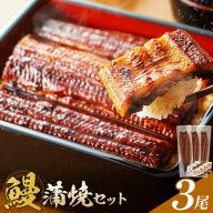 鰻 うなぎ 蒲焼き 3尾 (1尾約140g) タレ 山椒 付き 株式会社薩摩川内鰻《30日以内に出荷予定(土日祝除く)》鹿児島県 さつま町 送料無料 ウナギ 蒲焼 かば焼き 丑の日 うなぎ お取り寄せ グルメ