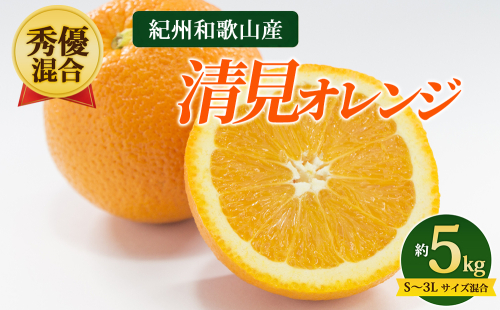 【先行予約】【秀優混合】紀州和歌山産 清見オレンジ 約5kg（箱込み）S～3L サイズ混合 2728108 - 和歌山県美浜町