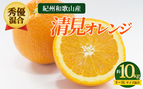 【先行予約】【秀優混合】紀州和歌山産 清見オレンジ 約10kg（箱込み）S～3L サイズ混合 2728112 - 和歌山県美浜町