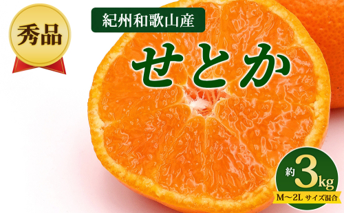 【先行予約】【秀品】紀州和歌山産 せとか 約3kg（箱込み） M～2L サイズ混合 2728114 - 和歌山県美浜町