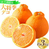 【先行予約】 大将季（だいまさき）みかん 大将季デコ 3kg よしたか農園 《2027年2月上旬-3月下旬頃出荷》鹿児島県 さつま町 不知火 しらぬい 柑橘 かんきつ フルーツ 果物 くだもの 鹿児島県産 3キロ 送料無料 旬