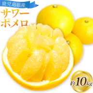 【先行予約】サワーポメロ 10kg 大橘（おおたちばな）よしたか農園 《2027年2月上旬-3月下旬頃出荷》鹿児島県 さつま町 文旦 ぶんたん 柑橘 かんきつ フルーツ 果物 くだもの 鹿児島県産 10キロ 送料無料 旬