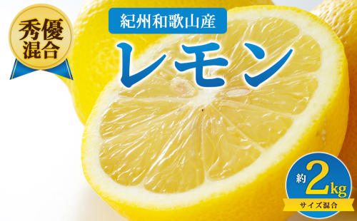 【先行予約】【秀優混合】紀州和歌山産 レモン 約2kg サイズ混合 2728118 - 和歌山県美浜町