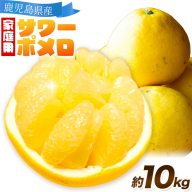 【先行予約】家庭用 みかん サワーポメロ 10kg よしたか農園 《2027年2月上旬～3月下旬頃出荷》鹿児島県 さつま町 サワーポメロ 文旦 ぶんたん 柑橘 かんきつ フルーツ 果物 くだもの 鹿児島県産 10キロ 送料無料 旬 ご家庭用 訳あり