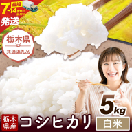 令和7年度産 米 栃木県産 コシヒカリ 白米 5kg《7-14日以内に出荷予定(土日祝除く)》栃木県 野木町 米 白米 精米 国産 お米 おこめ お弁当 おにぎり【栃木県共通返礼品】