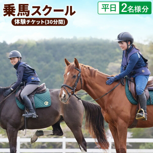 乗馬 スクール 体験 チケット 30分 平日 2名様分 クレイン栃木 《30日以内に出荷予定(土日祝除く)》栃木県 野木町 馬 乗馬体験 チケット 初心者 OK 2728169 - 栃木県野木町