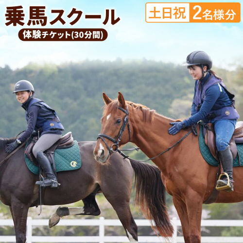 乗馬 スクール 体験 チケット 30分 土日祝 2名様分 クレイン栃木 《30日以内に出荷予定(土日祝除く)》栃木県 野木町 馬 乗馬体験 チケット 初心者 OK 2728172 - 栃木県野木町