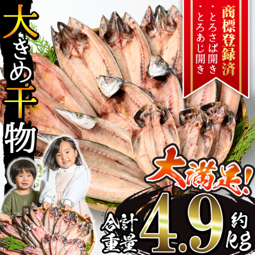 No.406-C 大きめ干物詰合せ＜合計約4.9kg＞ 干物 セット 詰め合わせ ひもの 魚介類 魚 あじ さば おかず おつまみ お楽しみ 【みのだ食品】 2728179 - 鹿児島県日置市