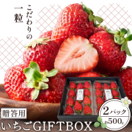 いちご 苺 贈答 ギフト ボックス 2パック 約500g ICHIGO LAB.hanahana 《1月上旬-4月下旬頃発送予定》 イチゴ 徳島県 上板町 紅ほっぺ 阿波ほうべに あまえくぼ 果物 フルーツ 送料無料