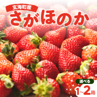 ★予約受付★平川いちご農園 佐賀県玄海町産いちご「さがほのか」12月～5月順次配送 ／ 送料無料 さがほのか 苺 いちご イチゴ 希少 果物 くだもの フルーツ デザート 旬 順次配送 予約受付