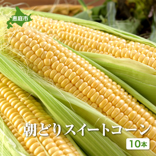 【北海道恵庭市産】朝どりスイートコーン×10本【310024】 2728498 - 北海道恵庭市