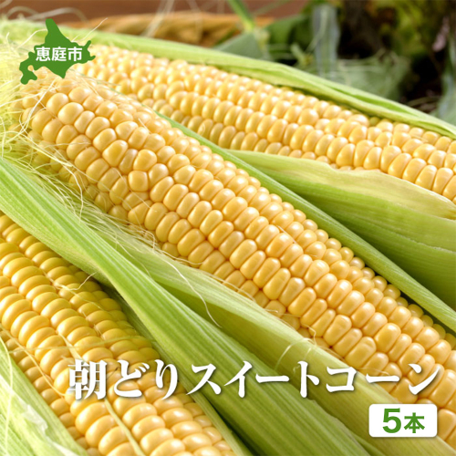 【北海道恵庭市産】朝どりスイートコーン×5本【31001601】 2728499 - 北海道恵庭市