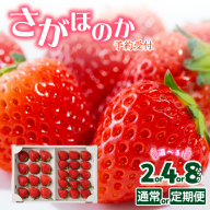 【予約受付】佐賀県玄海町産さがほのか（2027年1月～5月中にお届け） ／ 送料無料 さがほのか 苺 いちご イチゴ 希少 果物 くだもの フルーツ デザート 旬 順次配送 予約受付
