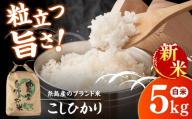 [令和8年産][新米予約受付] こしひかり 白米 5kg [2026年9月下旬以降順次発送]糸島市産 糸島市 / 糸島の恵み コメ こめ ご飯 