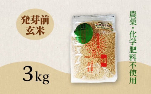 E1-18新潟県長岡産コシヒカリ 発芽前玄米 3kg