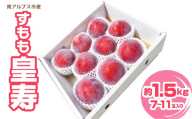 ＜2026年発送先行予約＞南アルプス市産 すもも「皇寿」約1.5kg（7～11玉入り） ALPFN010