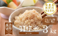 新米予約 先行予約 [玄米] コシヒカリ 3kg 令和8年産 単品 自然栽培 数量限定 1袋 玄米 羽咋米 自然栽培米 玄米 羽咋 米 能登 こしひかり こだわり 石川県産 能登米 エコ 栽培 環境 こめ コメ お米 2026年産 おこめ R8 ご飯 ごはん 送料無料 数量 限定 ギフト ふるさと納税 能登 石川 羽咋 はくい