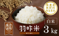 新米予約 先行予約 [令和8年産] こしひかり 白米 3kg 1袋 [自然栽培米] 羽咋米 精米 白米 米 お米 こめ コメ ライス ご飯 ごはん 羽咋 能登 こしひかり こだわり 石川県産 能登米 エコ 栽培 環境 白米 減農薬 国産 米 令和8年産 hakumai はくまい 2026年産 おこめ 精米 R8 送料無料 数量 限定 数量限定 ギフト ふるさと納税 能登 石川 羽咋 はくい 3kg