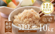 新米予約 先行予約 [令和8年産] コシヒカリ 玄米 (10kg×1袋) [自然栽培米] 石川県産 こしひかり 数量限定 羽咋米 自然栽培 羽咋 能登 玄米 10キロ こだわり R8 エコ 栽培 環境 米 お米 こめ コメ おこめ ご飯 ごはん コシヒカリ玄米 令和8年 おにぎり おむすび ブランド米 銘柄米 2026年産 R8 送料無料 数量 限定 ギフト ふるさと納税 能登 石川 羽咋 はくい
