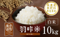 新米予約 先行予約 コシヒカリ 白米 10kg 令和8年産 石川県産 数量限定 1袋 白米 米 お米 こめ おこめ おコメ コメ ライス ご飯 hakumai 羽咋米 自然栽培米 精米 羽咋 米 能登 こしひかり 能登米 エコ 栽培 環境 白米 こめ コメ お米 ※ 2026年産 おこめ 精米 R8 ご飯 ごはん 送料無料 数量 限定 ギフト ふるさと納税 能登 石川 羽咋 はくい