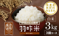 新米予約 先行予約 定期便 新米 数量限定 令和8年産 新米 3kg × 3回 計 9kg 白米 コシヒカリ 羽咋米 自然栽培米 精米 農薬不使用 羽咋 米 能登 こしひかり こだわり 石川県産 環境 白米 こめ コメ お米 2026年産 おこめ 精米 R8 ご飯 ごはん 送料無料 数量 限定 ギフト 新米 予約 ふるさと納税 能登 石川 羽咋 はくい