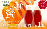 千葉県産純粋はちみつ【計1kg】からすざんしょう500g×2本 ふるさと納税 ハチミツ 蜂蜜 はちみつ お菓子作り おかしづくり スイーツ 料理 千葉 大網白里市 送料無料　X022