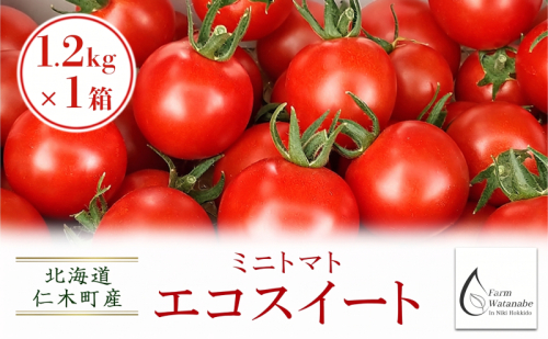 [2026年産][栽培期間中 農薬・化学肥料不使用] 北海道 仁木町産 ミニトマト エコスイート 1.2kg×1箱 サイズ混載 トマト野菜 やさい  [Farm Watanabe] 2728966 - 北海道仁木町
