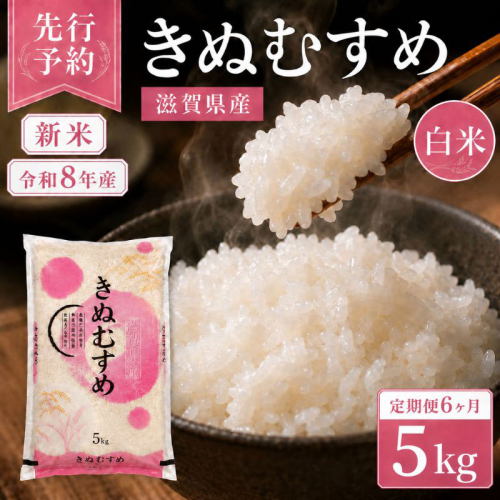 【令和8年産】 先行予約 新米 きぬむすめ 5kg 6回定期便 令和8年産 定期便 米 精米 こめ コメ お米 ご飯 米 キヌムスメ 米定期便 6か月定期便 6ヶ月定期便 6回 6ヶ月 6か月 滋賀県 豊郷 豊郷町 2729009 - 滋賀県豊郷町