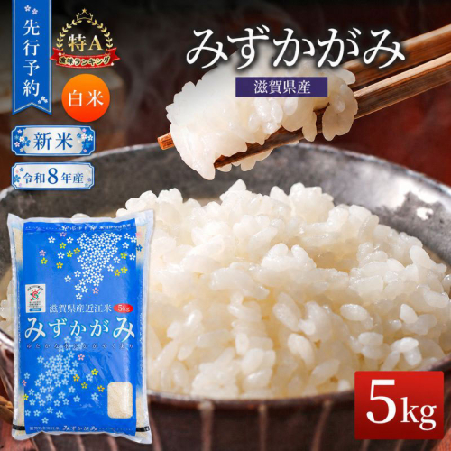【令和8年産】 先行予約 新米 みずかがみ 5kg 米 精米 こめ コメ お米 ご飯 ミズカガミ 5キロ 令和8年 令和8年度産 令和八年 令和八年産 滋賀県 豊郷 豊郷町 2729011 - 滋賀県豊郷町