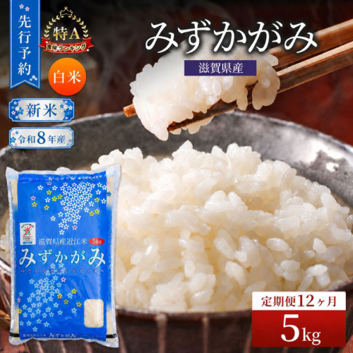 【令和8年産】 先行予約 新米 みずかがみ 5kg 12回定期便 令和8年産 定期便 米 精米 こめ コメ お米 ご飯 米 ミズカガミ 米定期便 12か月定期便 12ヶ月定期便 12回 12ヶ月 12か月 滋賀県 豊郷 豊郷町 2729014 - 滋賀県豊郷町