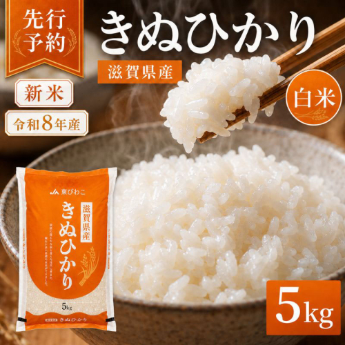 【令和8年産】 先行予約 新米 きぬひかり 白米 5kg 米 精米 こめ コメ お米 ご飯 キヌヒカリ 5キロ 令和8年 令和8年度産 令和八年 令和八年産 滋賀県 豊郷 豊郷町 2729015 - 滋賀県豊郷町