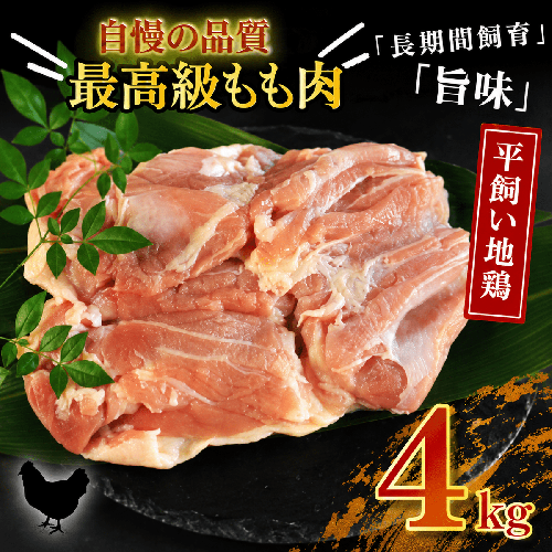 地鶏 愛媛 媛っこ地鶏 もも肉 約4kg 鶏肉 鳥肉 肉 チキン むね 焼肉 焼き鳥  BBQ 冷凍 国産 高級 タンパク質 低脂肪 糖質 唐揚げ チキン南蛮 サラダチキン スープ 出汁 愛南町 送料無料 ローカルスタンダード 2729133 - 愛媛県愛南町
