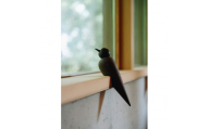 【Tagayasan（タガヤサン）：こげ茶】【銘木再生】幸運を運ぶ木製オブジェliving_bird 燕