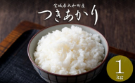 【令和8年産 新米】＜先行予約受付中！R8年9月下旬から順次発送予定＞ つきあかり 1kg お米 おこめ 米 コメ 白米 ご飯 ごはん おにぎり お弁当【赤間農業開発株式会社】ta717