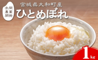 【令和8年産 新米】＜先行予約受付中！R8年9月下旬から順次発送予定＞ ひとめぼれ 1kg お米 おこめ 米 コメ 白米 ご飯 ごはん おにぎり お弁当【赤間農業開発株式会社】ta718