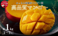 高品質マンゴー　秀品　約1kg（2～3玉）【かっちん南風原マンゴー園】【 先行予約 2027年発送 】