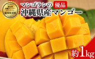 マンゴランのこだわり高級贈答用マンゴー約1キロ【2027年発送】