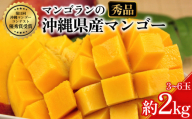 【 先行予約 2027年発送 】秀品 2kg 沖縄県産 マンゴー 2キロ 国産 完熟マンゴー 果物 南国 くだもの フルーツ 完熟 夏 旬 特産品 沖縄 取り寄せ 産地直送 農家直送 甘い 濃厚 うるま市 マンゴラン